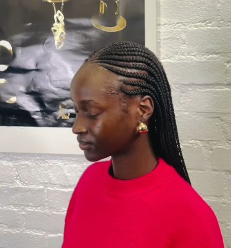Box braids hairstyle